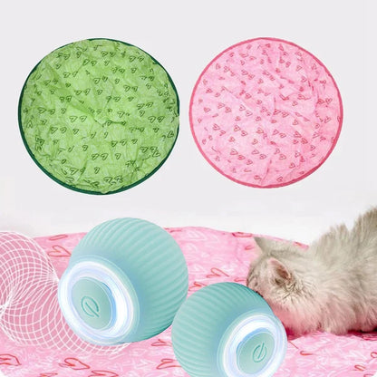 ✨2 in 1 Simulated Interactive hunting cat toy