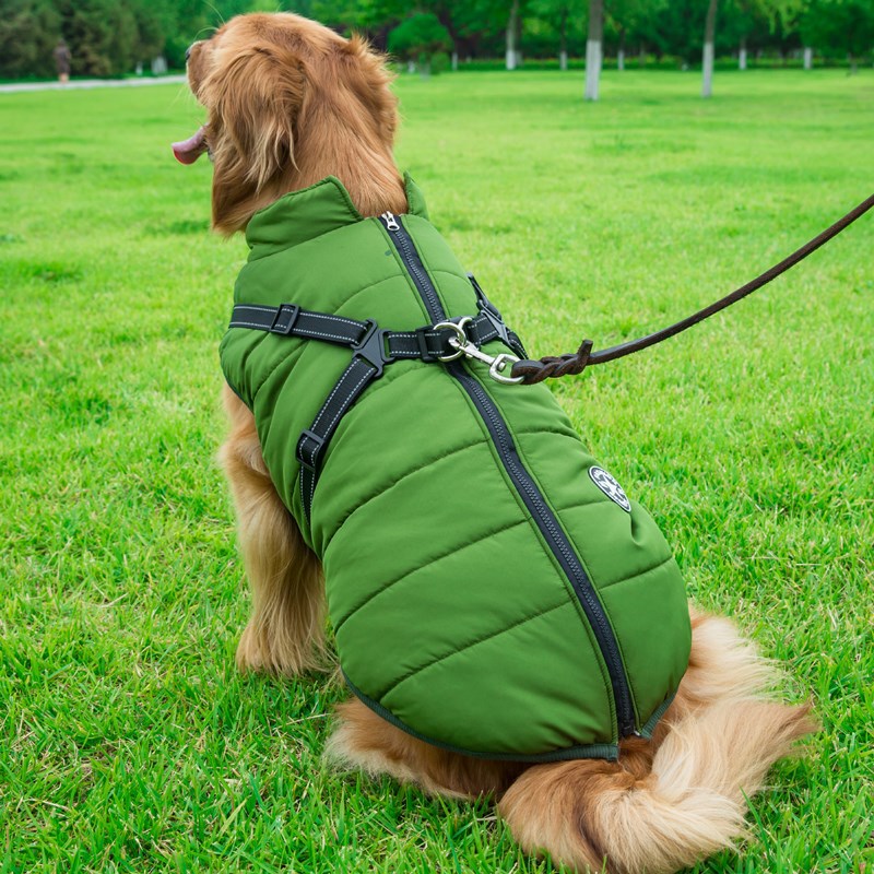 [2023 Update] Dog Coat - Winter Dog Jacket🐾