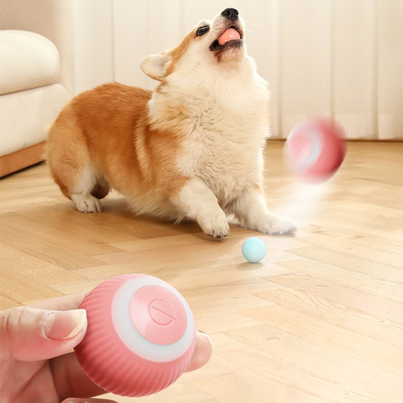 😻Smart Automatic Rolling Ball Electric Cat Toys - Interactive Toys For Pet