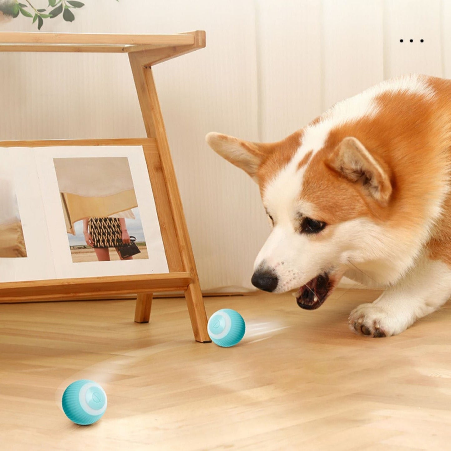 😻Smart Automatic Rolling Ball Electric Cat Toys - Interactive Toys For Pet